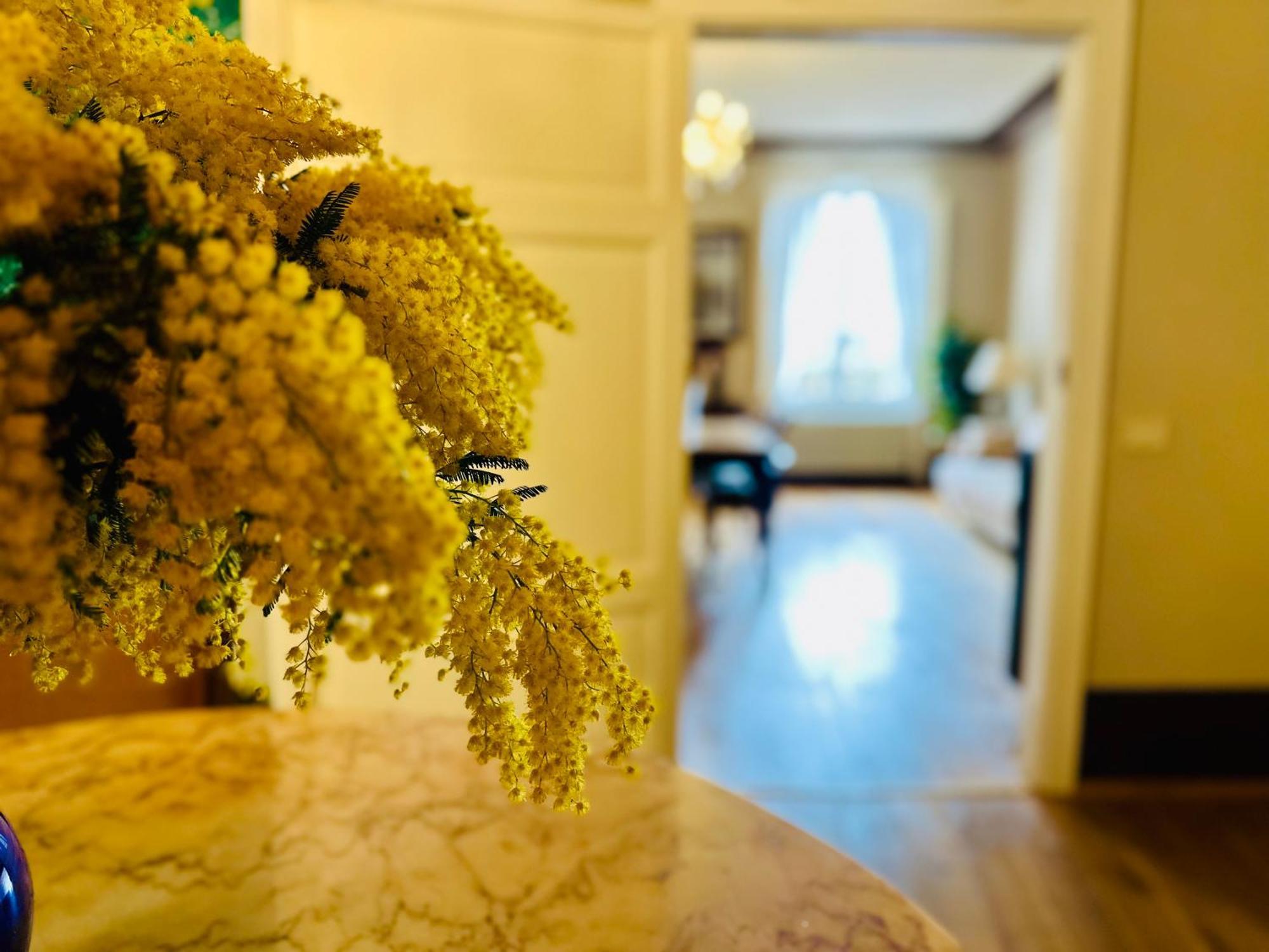 Domus An- Two Bedrooms Apartment -Antique And Historical Home Siena Luaran gambar